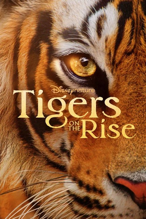 دانلود فیلم Tigers on the Rise